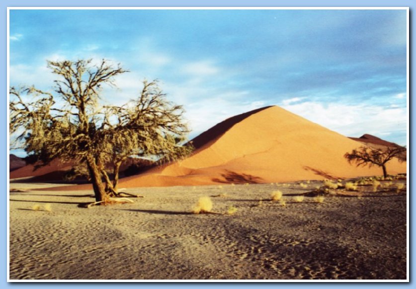 Dune