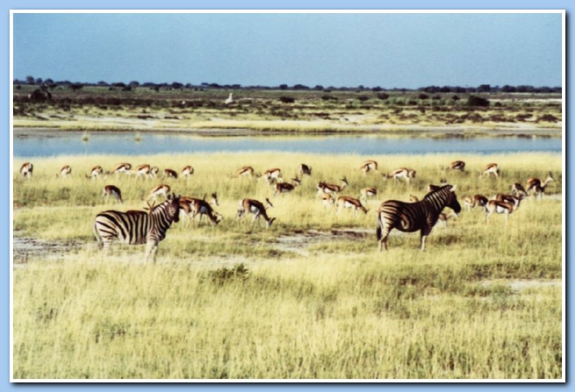 Etosha